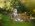 plener chrzest lodz 1 1