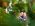 plener chrzest lodz 3 1