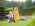 plener chrzest zgierz 4 1
